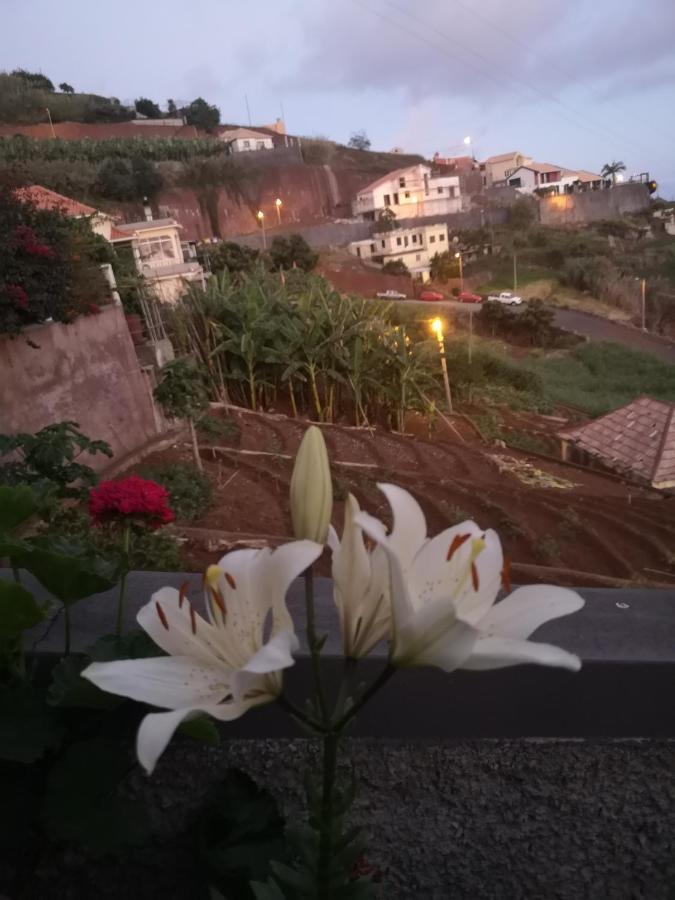 Villa Casa-Albatros à Ponta do Sol  Extérieur photo