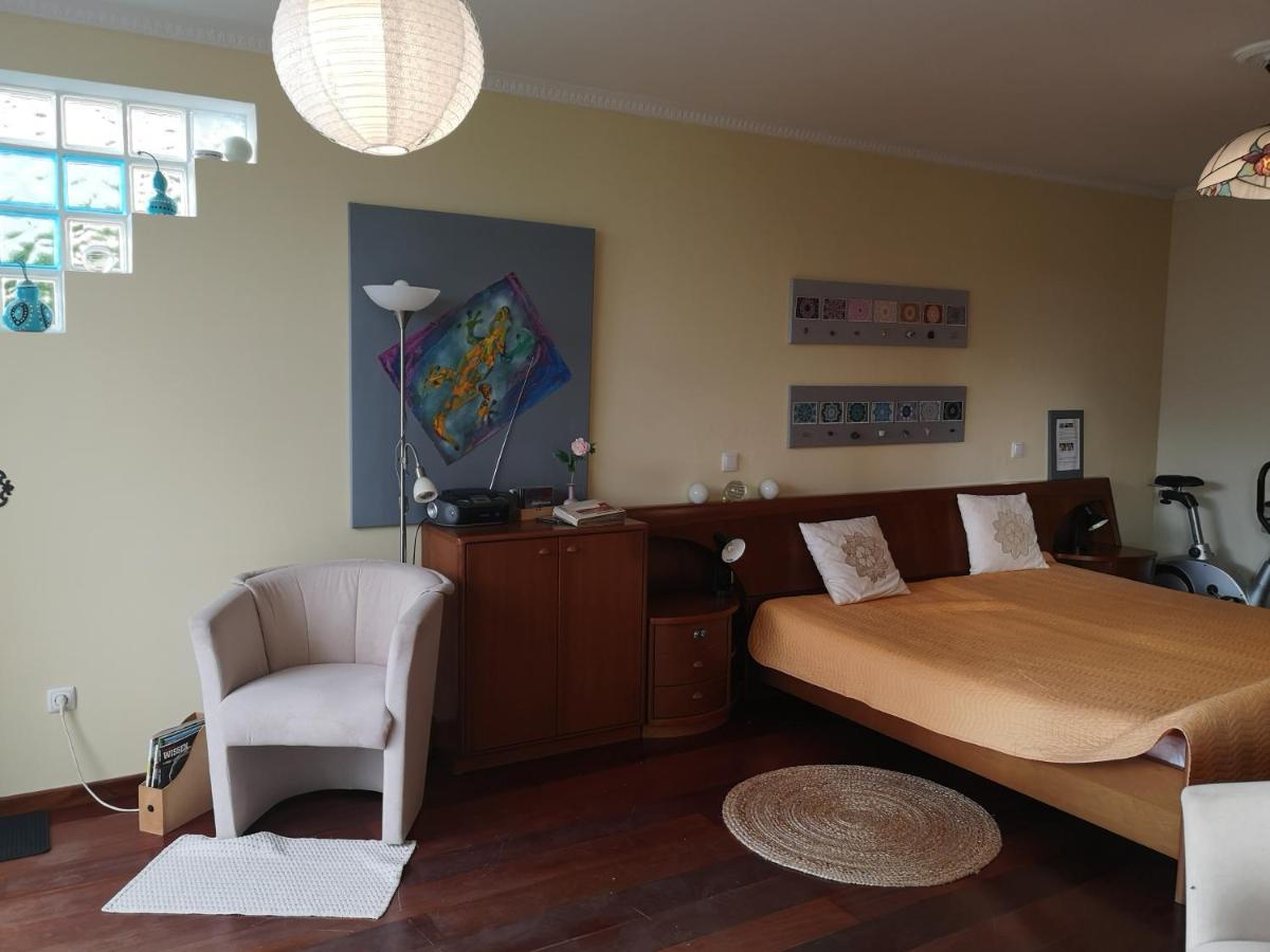 Villa Casa-Albatros à Ponta do Sol  Extérieur photo