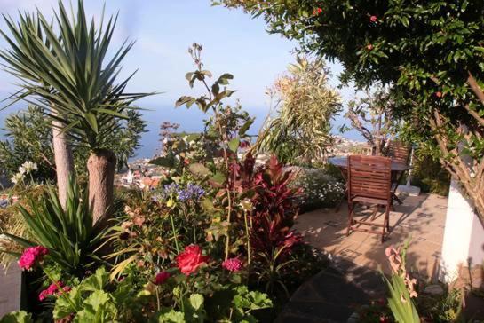 Villa Casa-Albatros à Ponta do Sol  Extérieur photo